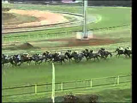 Seattle Ice charity mile