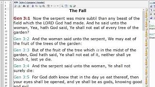 HOW SATAN&#39;S ACQUISITION FOR THE HUMAN RACE BEGAN WITH ONE &#39;POSITIVE WORD THAT WAS A LIE
