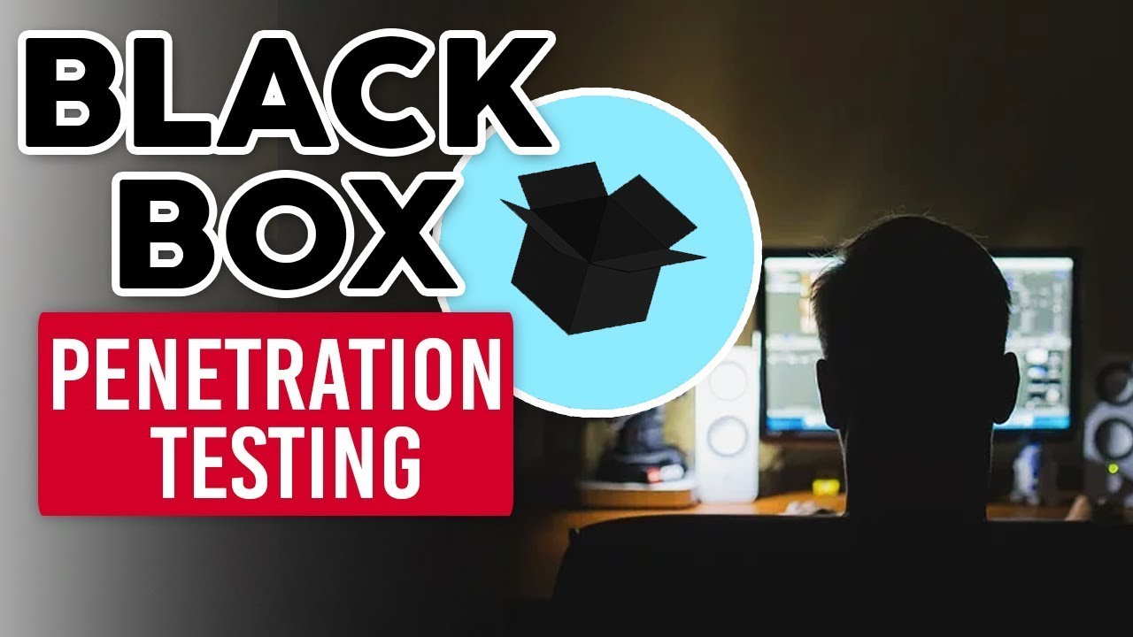 Black Box Penetration Testing Explained