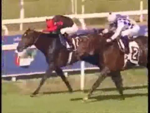 Corse Cavalli Capannelle:Grandi Corse Anno 2007