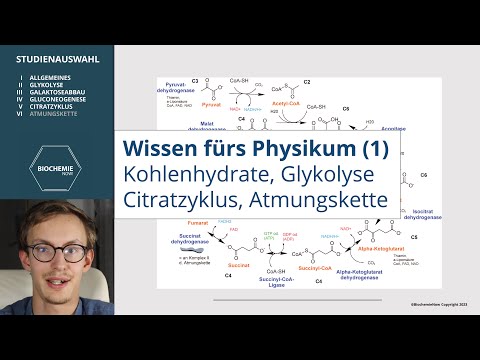 REPETITORIUM BIOCHEMIE (1) - KOHLENHYDRATE, GLYKOLYSE, ZITRATZYKLUS, ATMUNGSKETTE