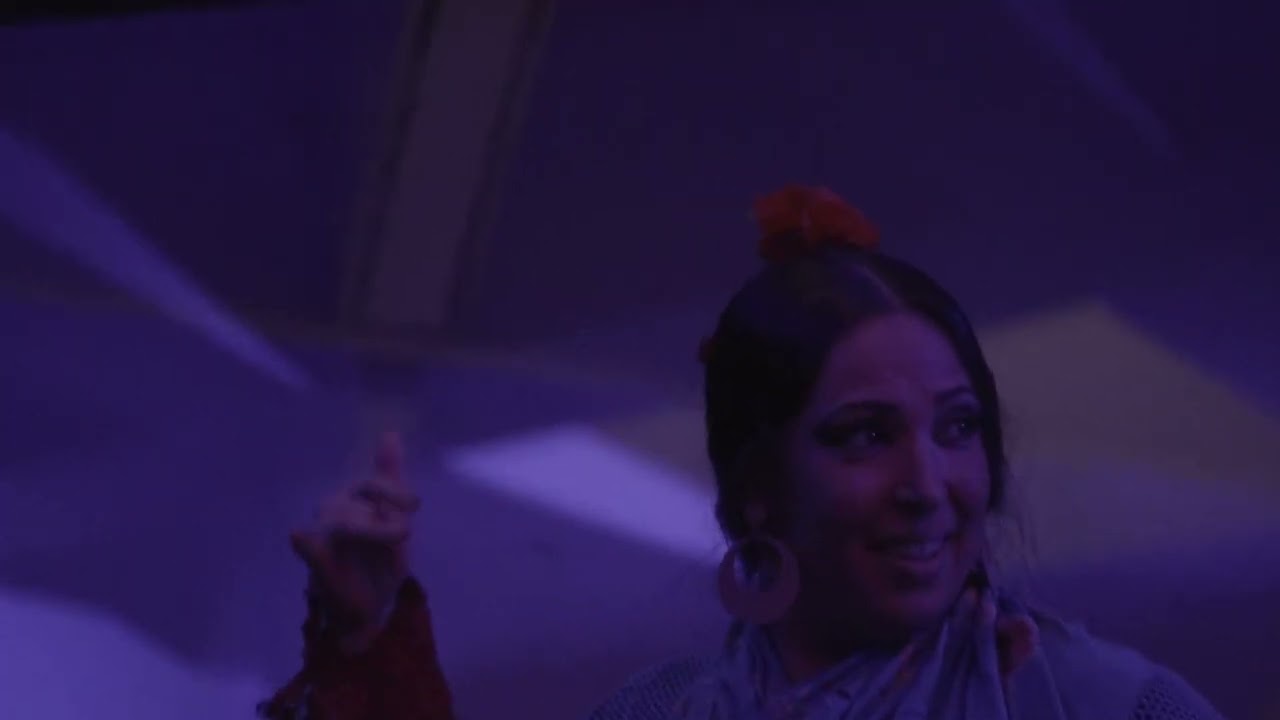 Show flamenco privado con flamencosevillaclass