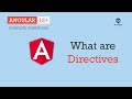 What is Directives | Directives | Angular 12+