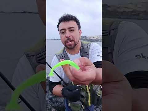 PESCA DE SIERRAS, Caldera región de Atacama