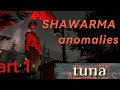 SHAWARMA ANOMALIES Shawarma Video Terror