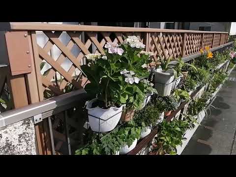 toile-intimité-balcon-palissade-bois-voile-ombrage