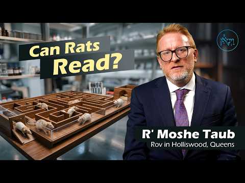 Can Rats Read? | Rabbi Moshe Taub