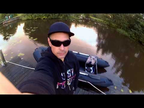 Summer predators / SDS #04