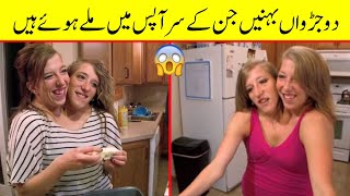 Download lagu 2 Judwaa Bahane | Abby and Brittany Hansel | Amazing facts about life #Shorts mp3 Download lagu 2 Judwaa Bahane | Abby and Brittany Hansel | Amazing facts about life #Shorts mp3