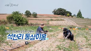 [202회_1부] 여장부 선정 씨와 순둥이 남편의 석천리 동상이몽
