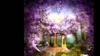 Bernard Lavilliers Eldorado.wmv ( Album Nuit d''Amour )