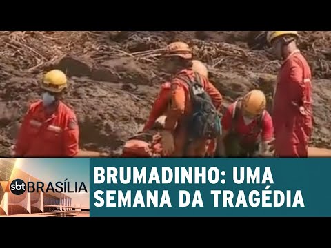 Brumadinho: uma semana da tragédia | SBT Brasília 01/02/2019