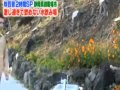 Humour La Fontaine Folle Une Caméra Cachée Japonaise à Mourir De Rire