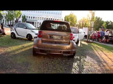 Wöhrder See smart Treffen 2014