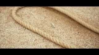 Ramona Flowers - Lust and Lies