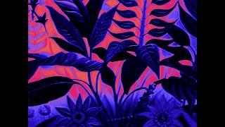 EVERGREEN – “NEVER BE THE SAME AGAIN”