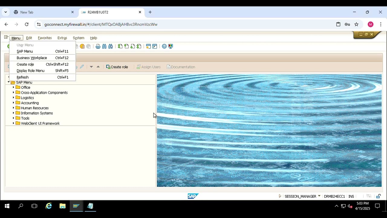 Account Assignment Model