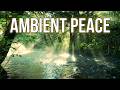 Ambient Instrumental Onnam Ragam Paadi Thoovanathumbikal