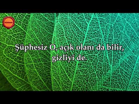 A'la Suresi - Nasser al Qatami