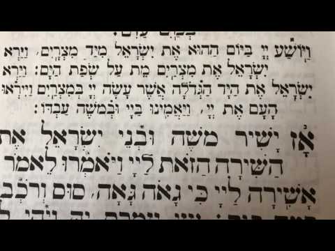 Tefilah 17 Vayosha - Prayer - Sharchris - תפילה 17 ויושע ה׳ – שחרית