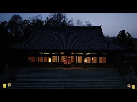 【京都桜】京都岩倉・妙満寺の桜をドローンで｜2021年4月2日のライブ配信で流したドローン映像です