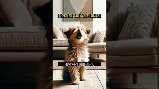 강아지 짖음의 숨겨진 메시지