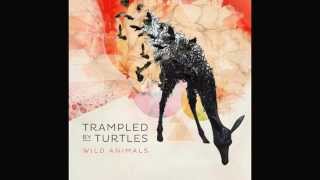 Trampled by Turtles - Silver Light