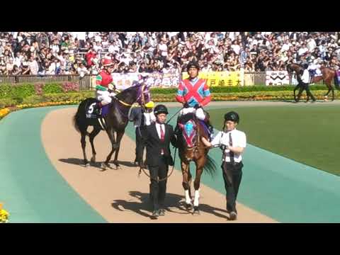 2019NHKマイルカップパドック アドマイヤマーズ追跡