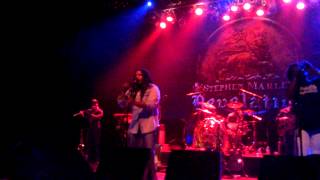 Stephen Marley - Thorn Or A Rose
