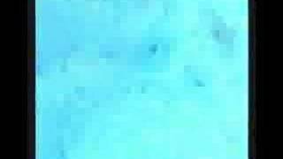 Fallback -KHI AMV Worm Entry-