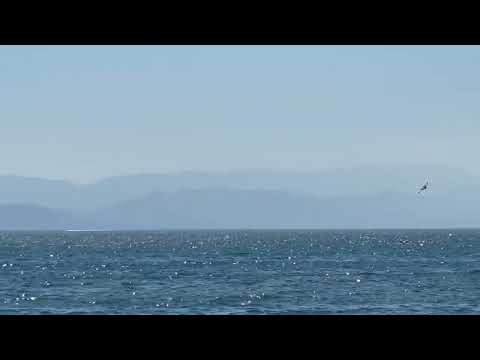 Beteja me flakët/ Avionët në lëvizje mbushen me ujë në plazhin e Shëngjinit