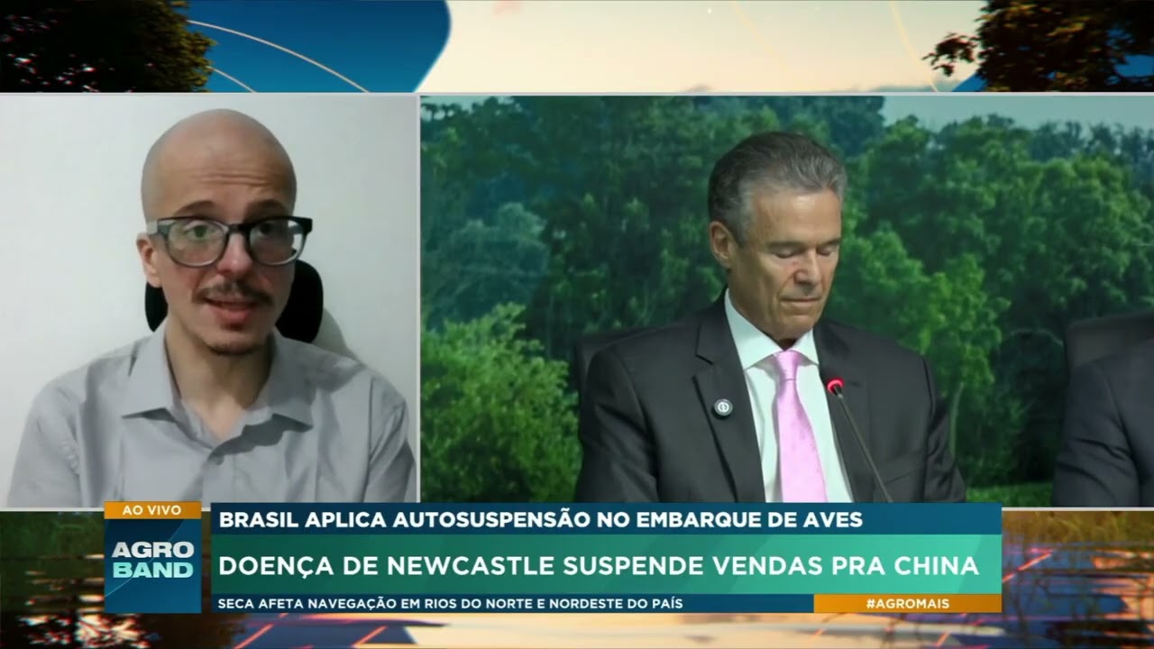 Doença de Newcastle: autoembargo à China pode afetar exportações brasileiras de aves