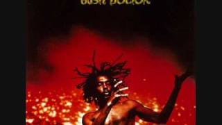 Peter Tosh - Bush Doctor