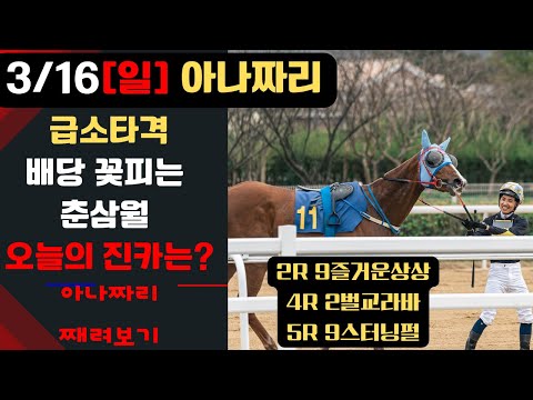 3/16 일요-운택-경마 아나짜리 시련은 있어도 좌절은 없다,변환점의 오늘