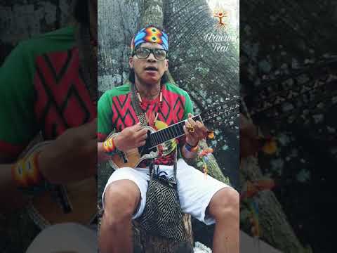 Txana kupy Hunikuin - Grupo Txana Beru Keneya - Aldeia Belo Monte