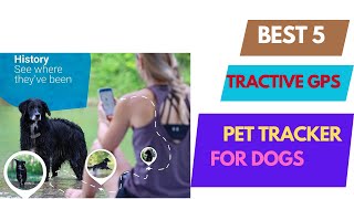 ✅  Best Tractive GPS Pet Tracker for Dogs in 2023