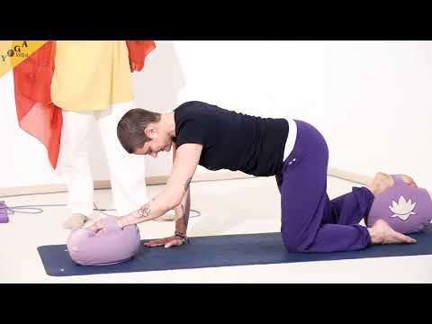 Diagonale Katze - Yoga Übung - Yoga Asana Lexikon