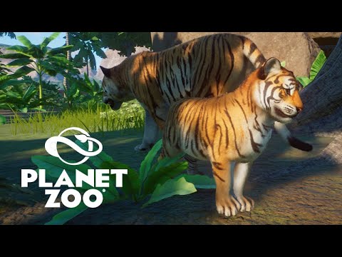 Nasceu filhote de Tigre - Planet Zoo - Modo Desafio #12