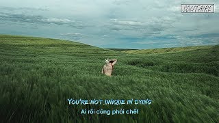 [Lyrics+Vietsub] Lorde - Ladder Song