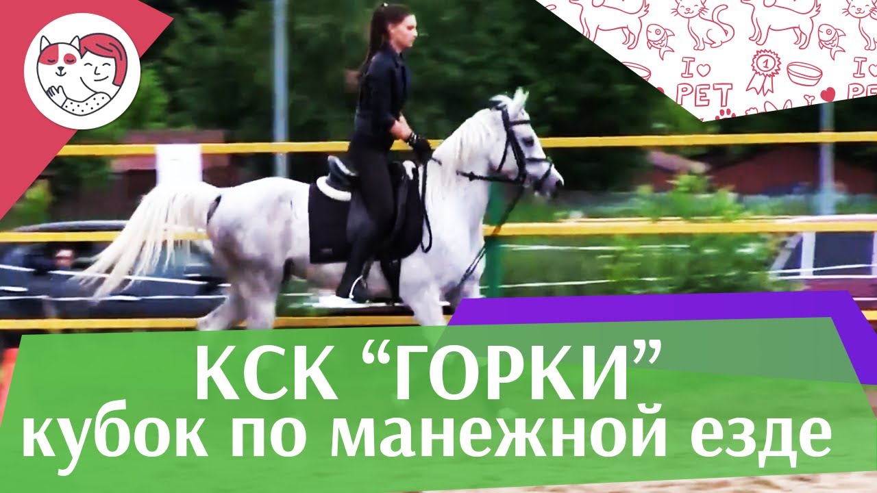 Летний кубок КСК Горки по манежной езде КЮР часть 31 на ilikepet