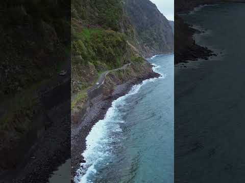 Náhled pro video reference