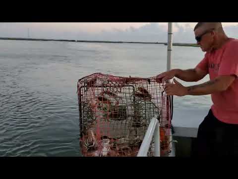 Play the video for Happiness Bayou Tours, LLC