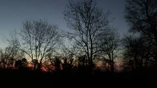 19 March 2026 – Sunrise and Equinox Birdsong – Dorset, England.