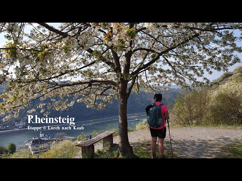 Rheinsteig: Wanderung von Lorch nach Kaub 🏞️🚶‍♂️🏰 | Rheinsteig Abenteuer