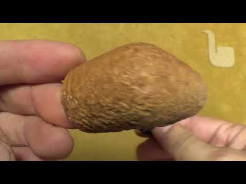 Pipa Peterson 125th Anniversary Premier System 313 Limited Edition n.159 di 330