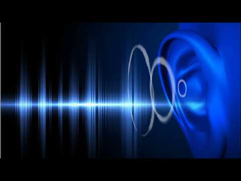 Coronita Light 2021 November