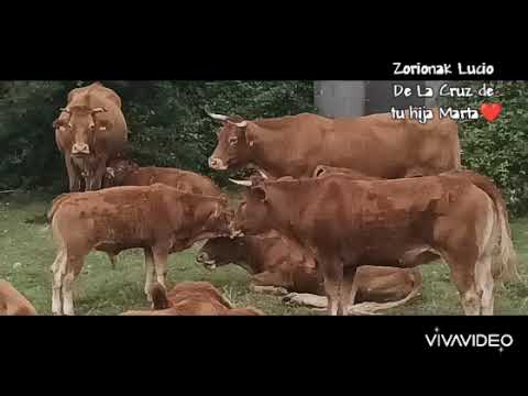 Lucio De La Cruz Ruiz