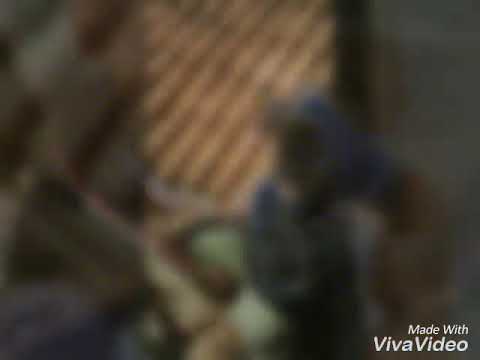 Mc dudu boladão st eu amo cachaça