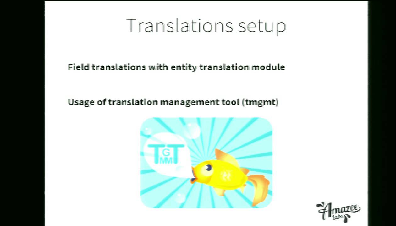 DrupalCon Amsterdam 2014: Building a Multilingual, Multidomain Drupal Site