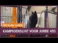 REPO: Trotse Jurre 495 weet heel goed dat hij de kampioen is